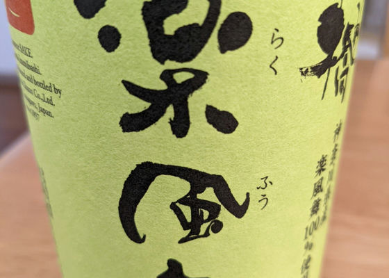 alt 1
