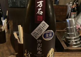 alt 1