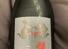 alt 1