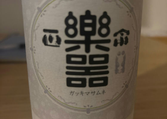 alt 1