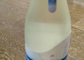 alt 1