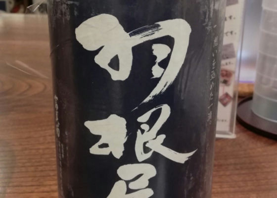alt 1