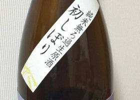 alt 3