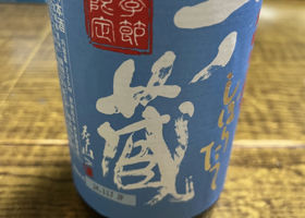 alt 1