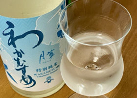 alt 3