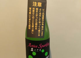 alt 3