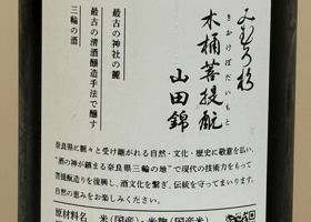 alt 3
