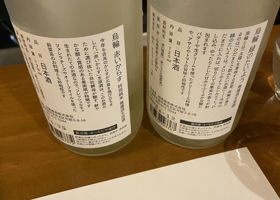 alt 3