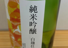 alt 2