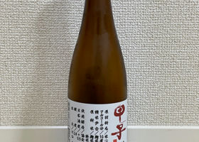 alt 1