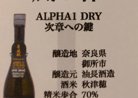 alt 3