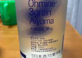 大嶺 チェックイン 2