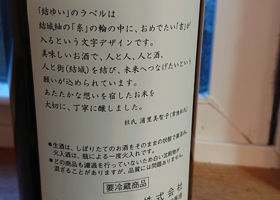 alt 3