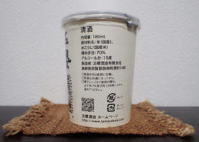 alt 3