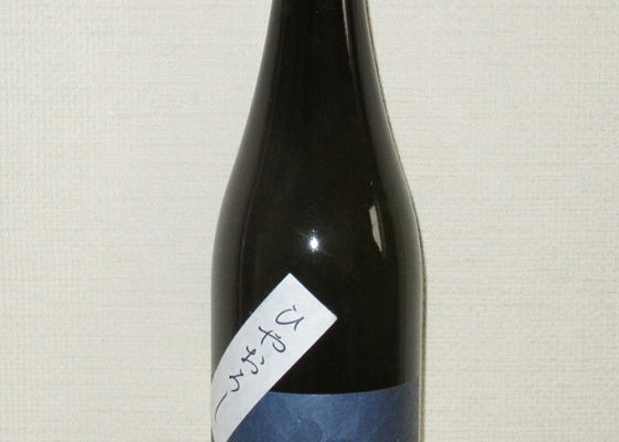 alt 1