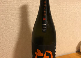 alt 1