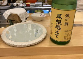 alt 1