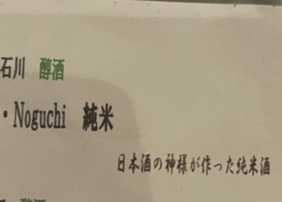 Noguchi Check-in 1