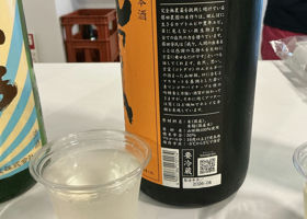 alt 3