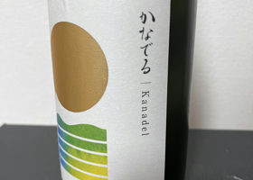 alt 2