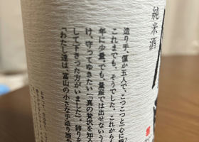 alt 3