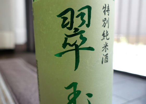 alt 1