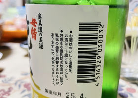 alt 3