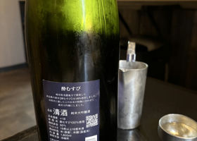 alt 2