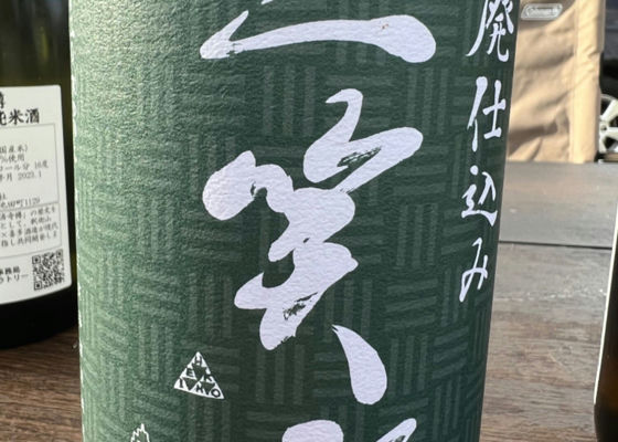 alt 1