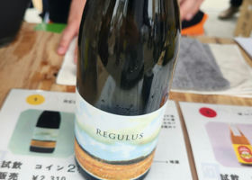 REGULUS チェックイン 1