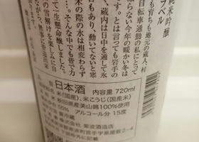 alt 3