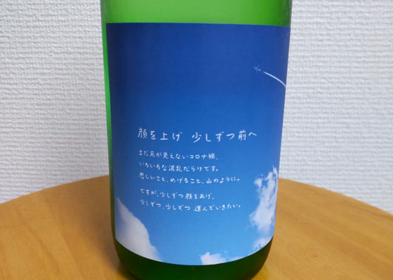 alt 1