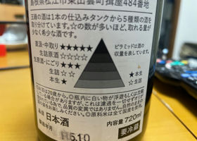 alt 3
