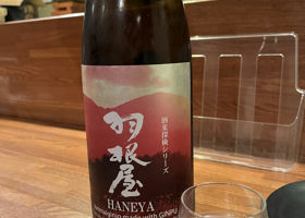 Haneya 签到 1