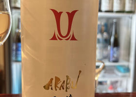alt 1