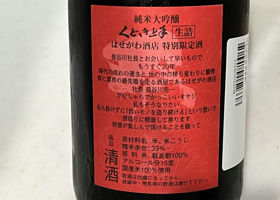 alt 3