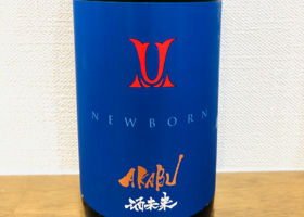 alt 1