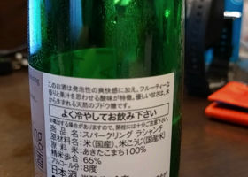 alt 3