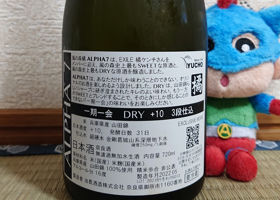 alt 3