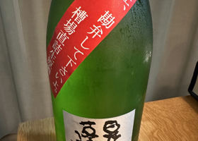 alt 1