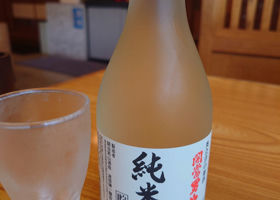 alt 1