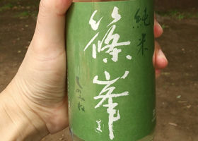 alt 1
