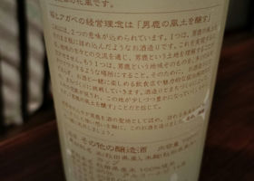 alt 1
