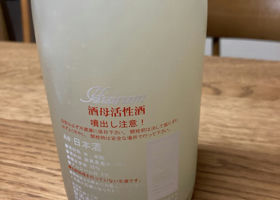 alt 1