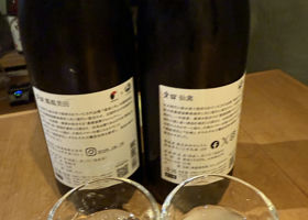 alt 3