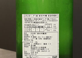 alt 3