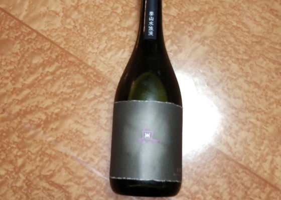 alt 1