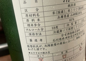 alt 3