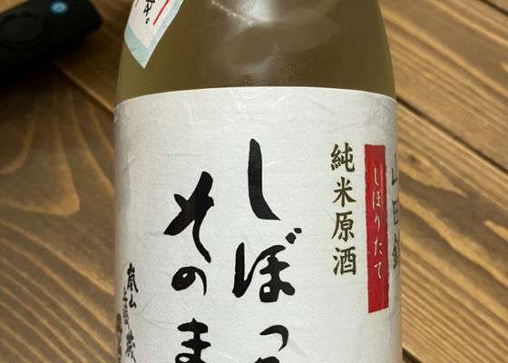 alt 1