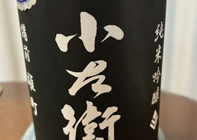 alt 1